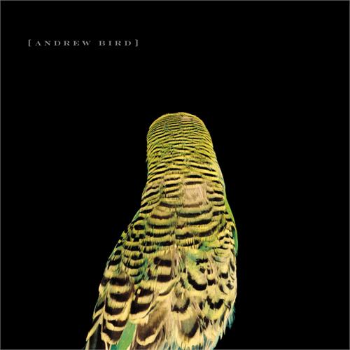 Andrew Bird Armchair Apocrypha (LP)